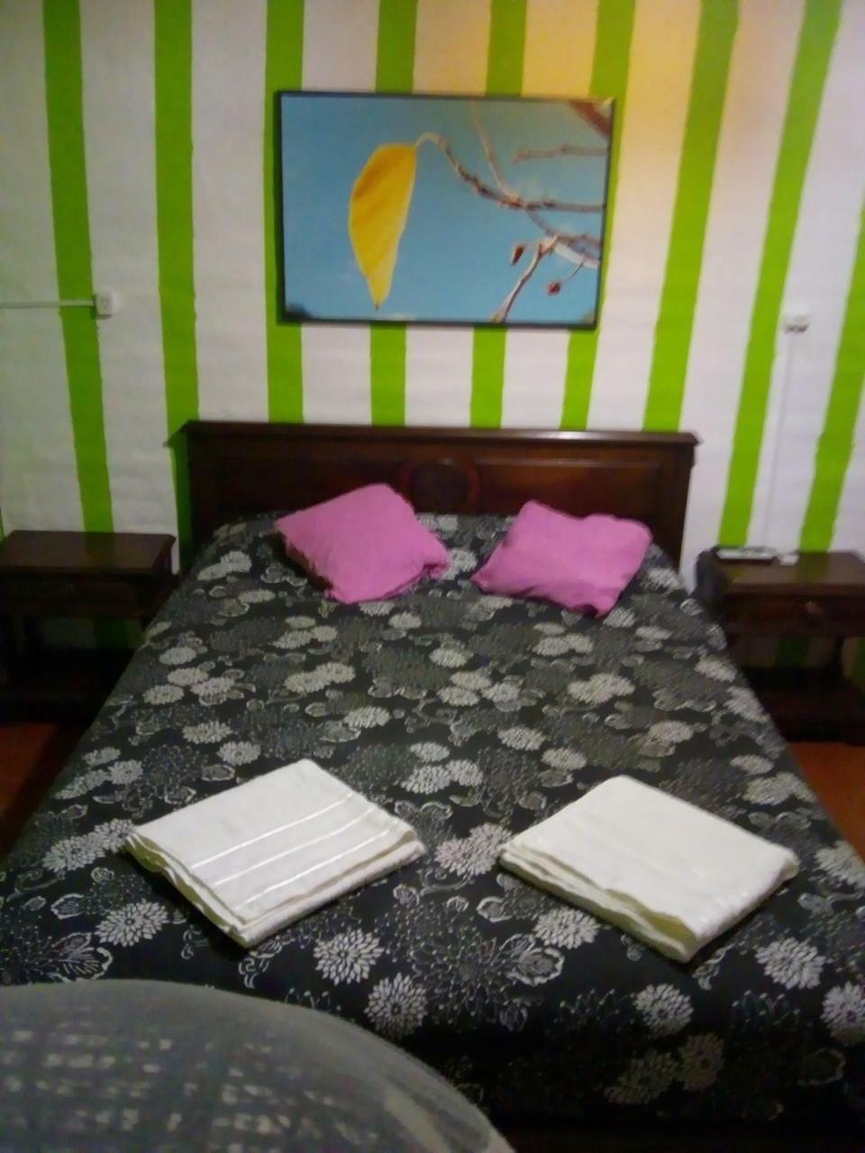 La Higuerita Apartamento *